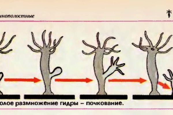 Как зайти в кракен с андроида